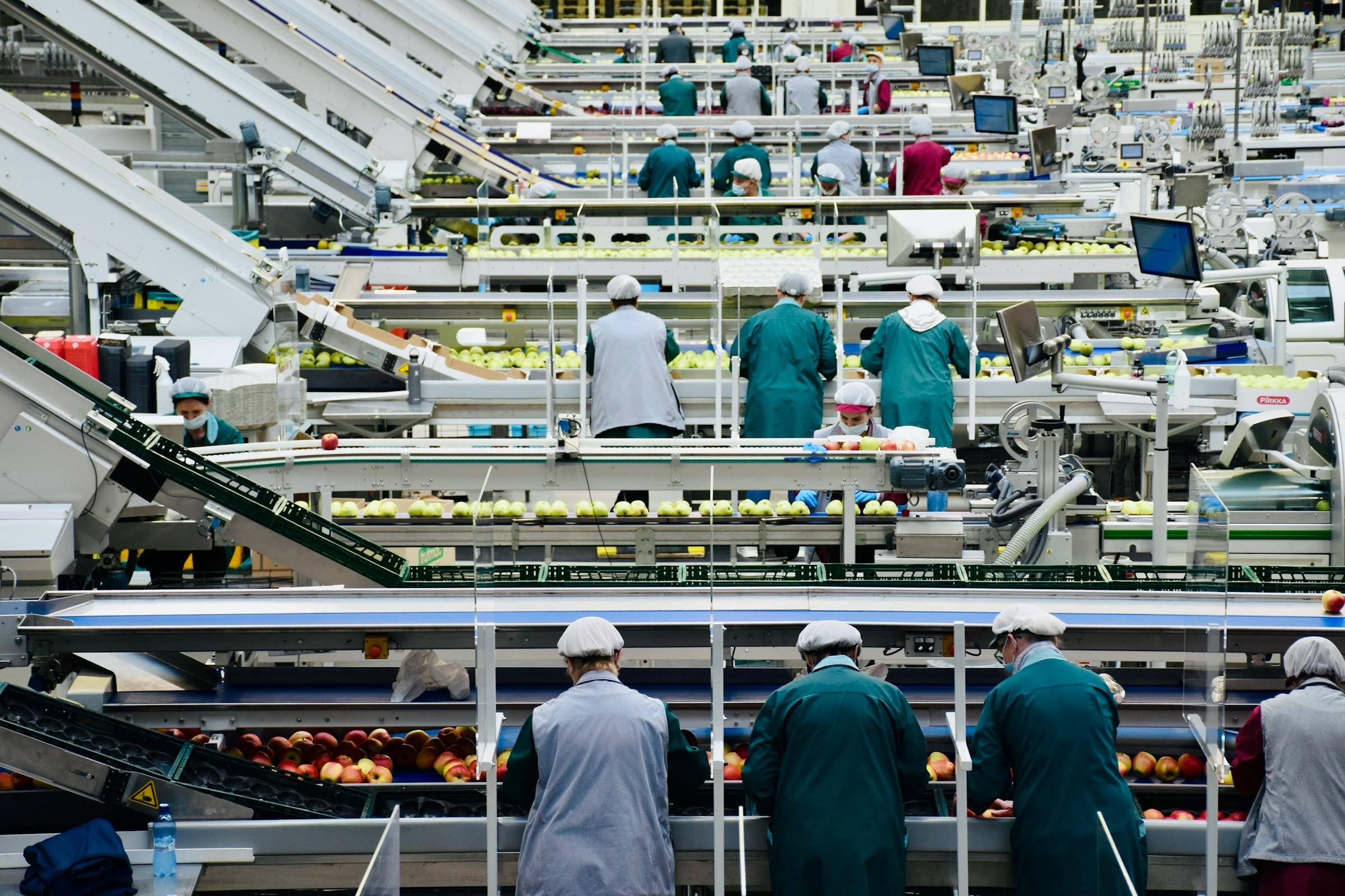 A busy production line